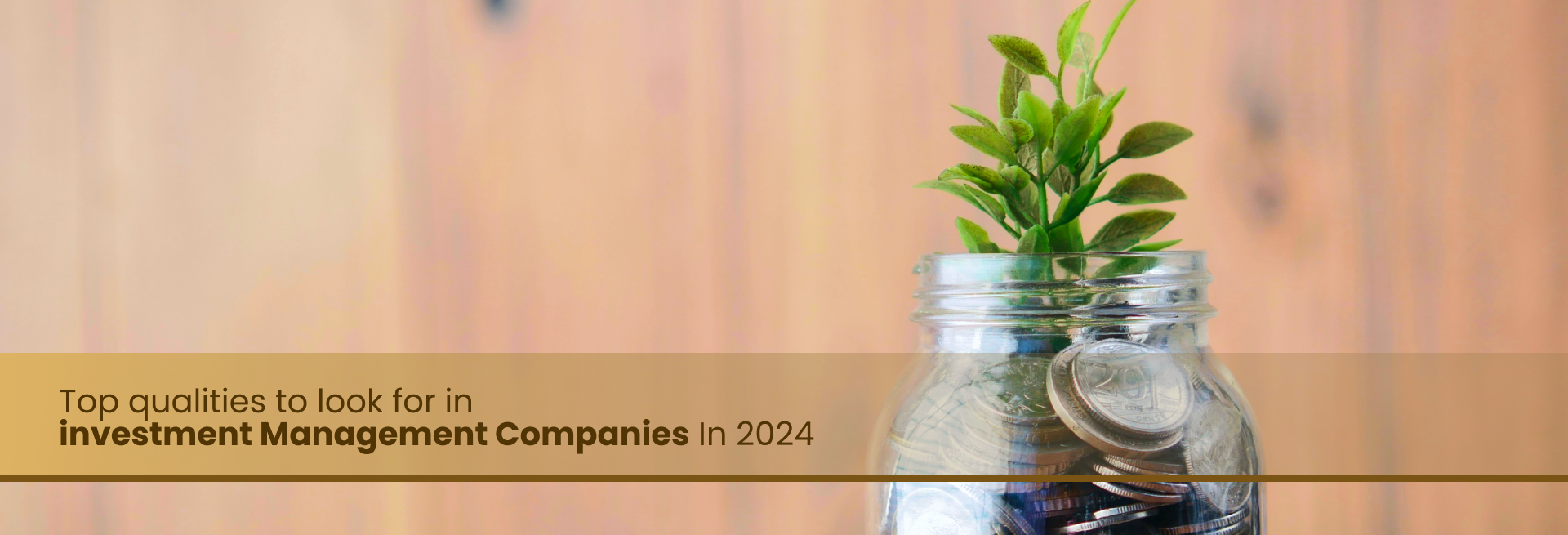 Top Qualities To Look For In Investment Management Companies In 2024